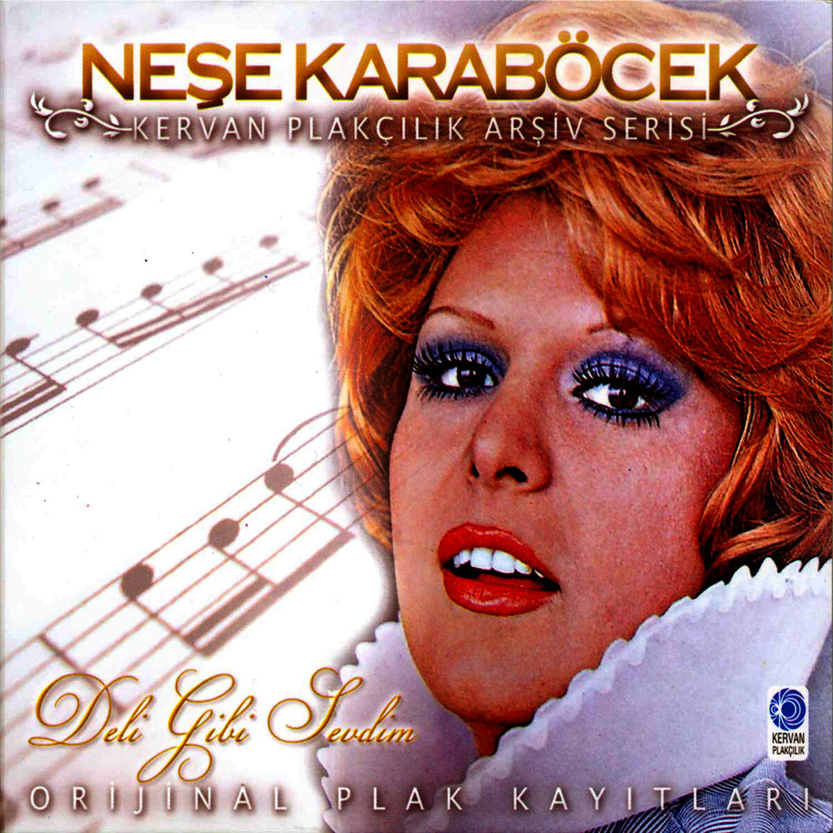 Album cover of Deli Gibi Sevdim
