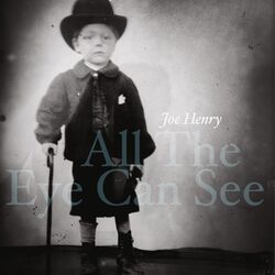 Cover of All the Eye Can See