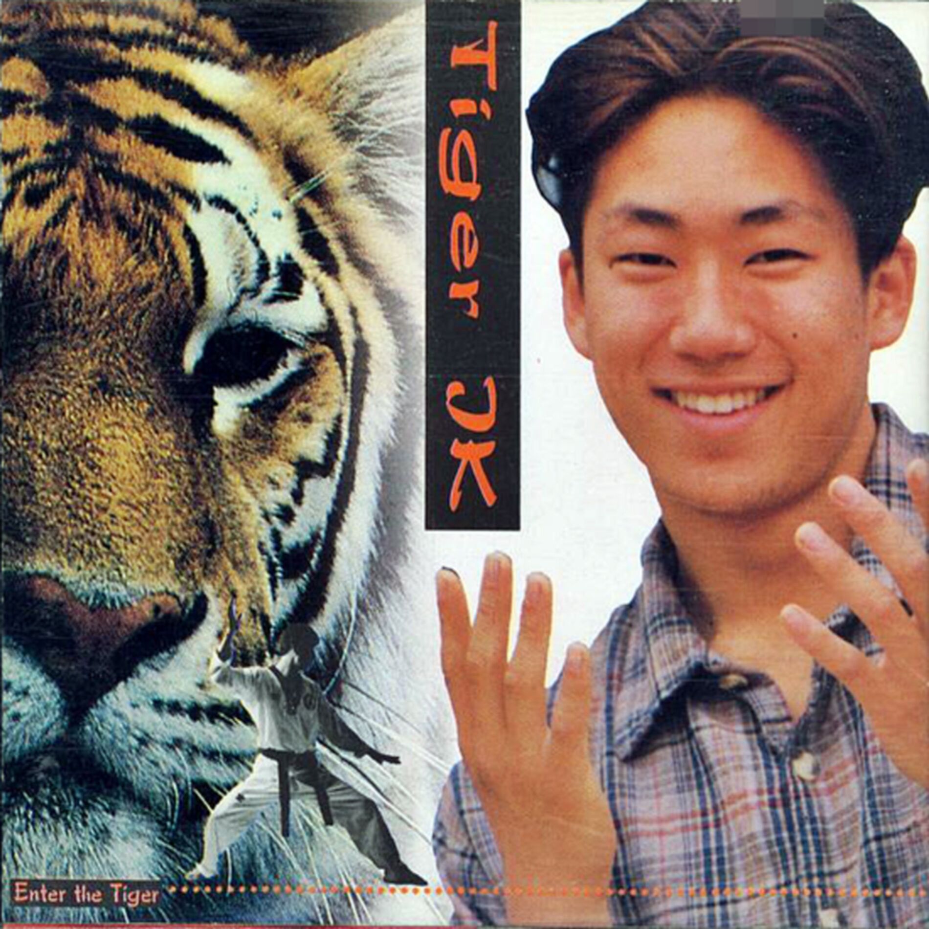Album cover of Enter The Tiger