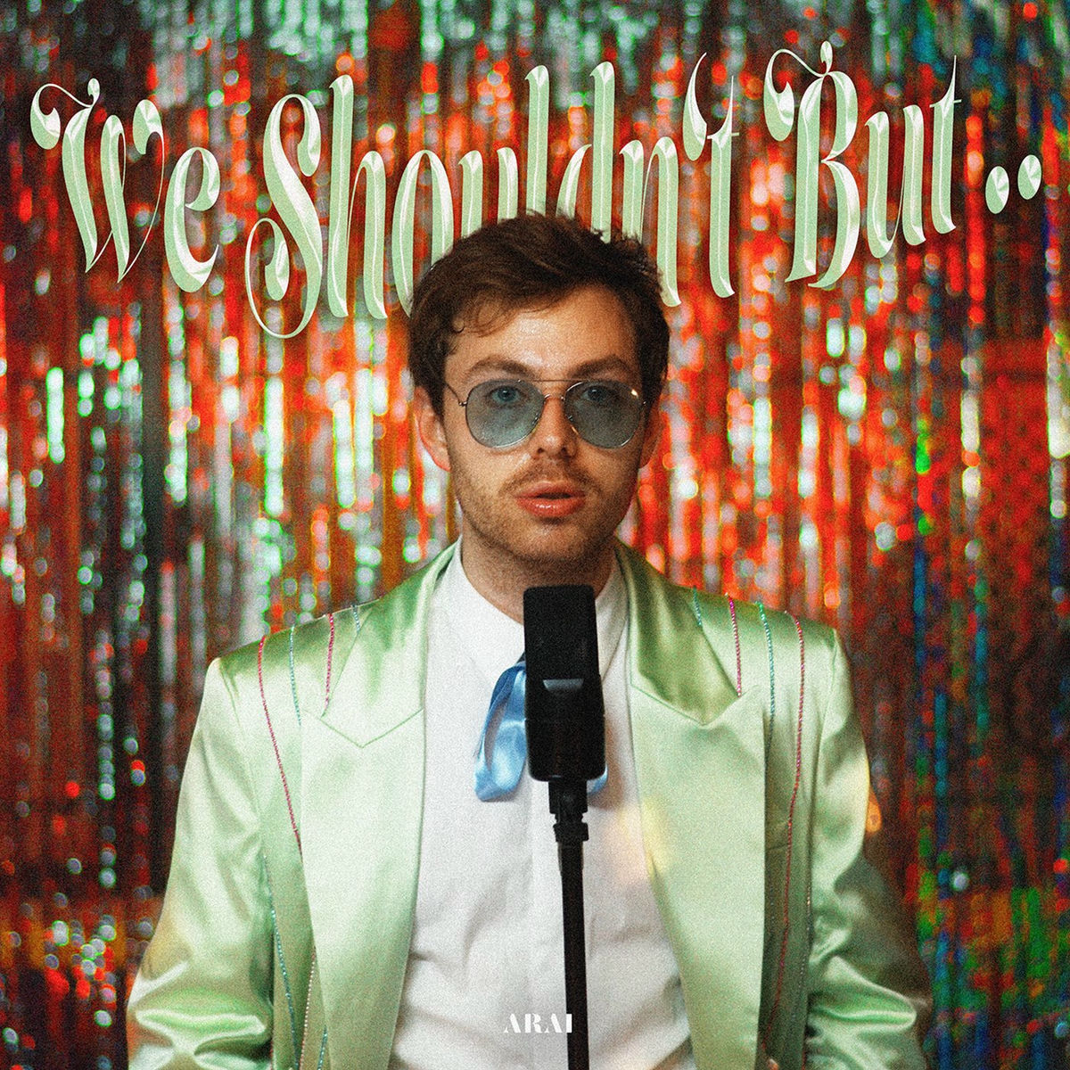 Album cover of We Shouldn‘t But ..