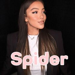 Cover of Spider