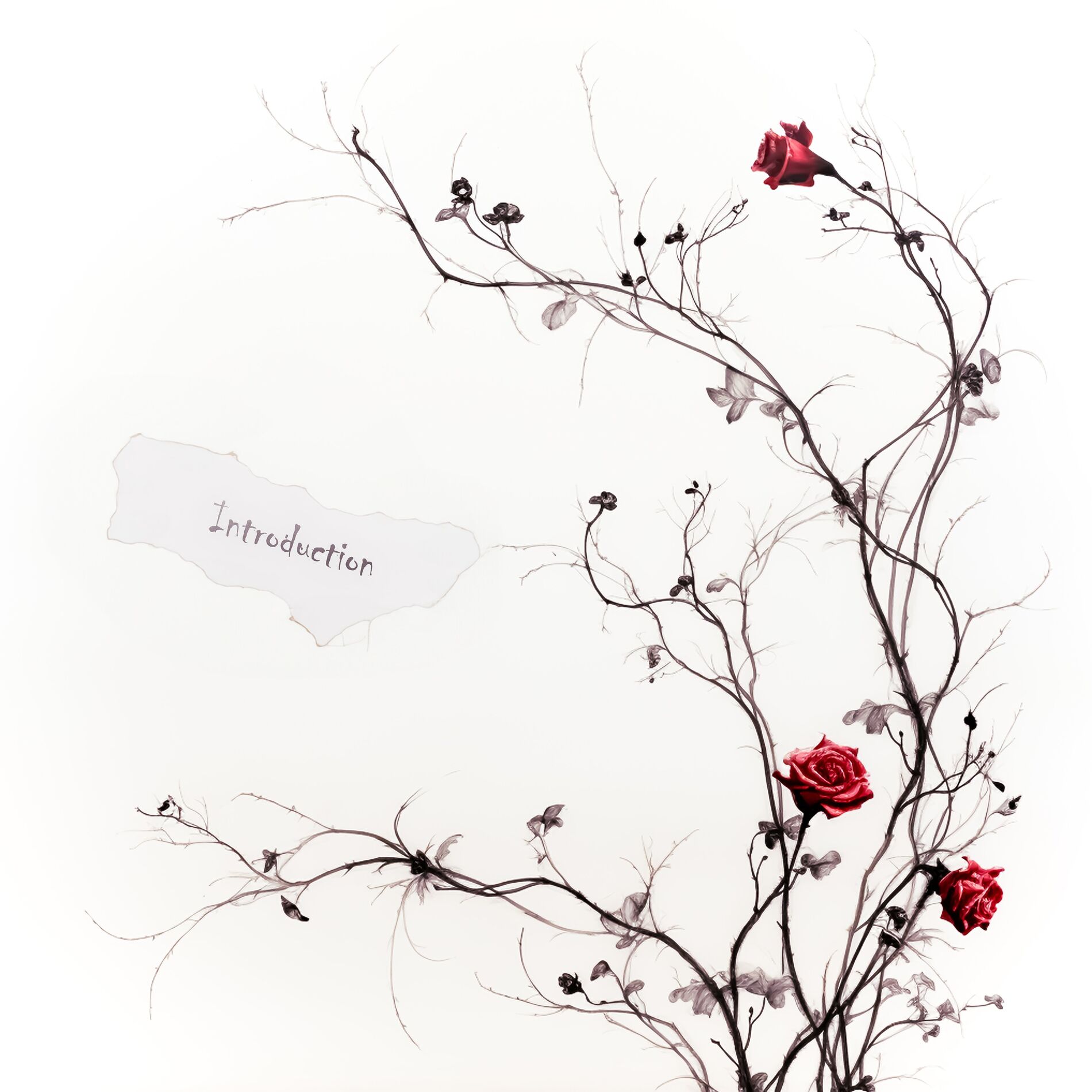 Album cover of Introduction