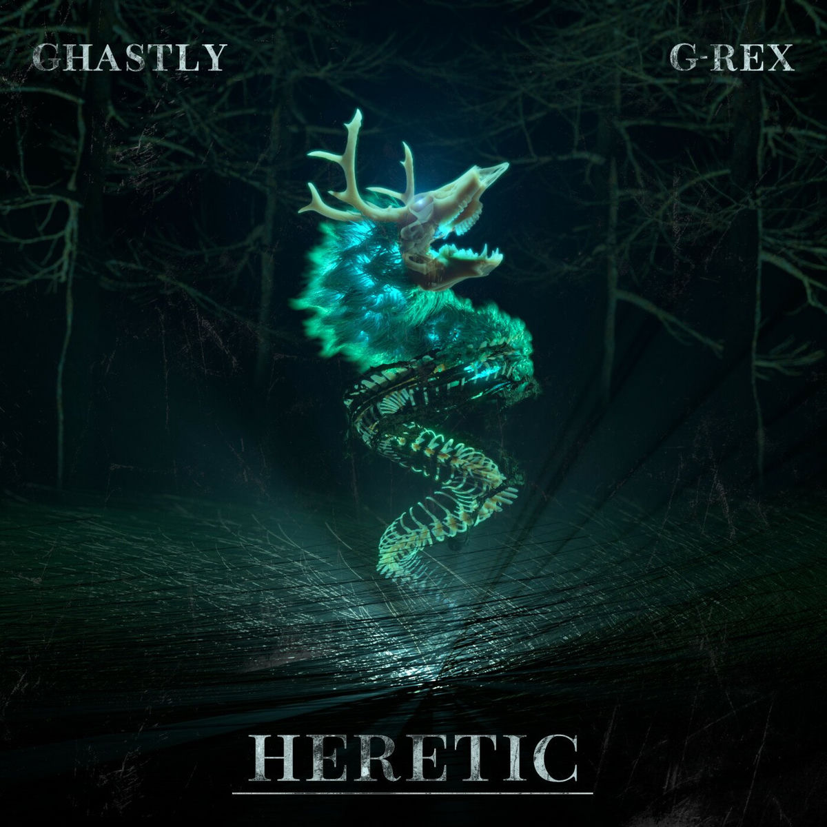 Album cover of Heretic