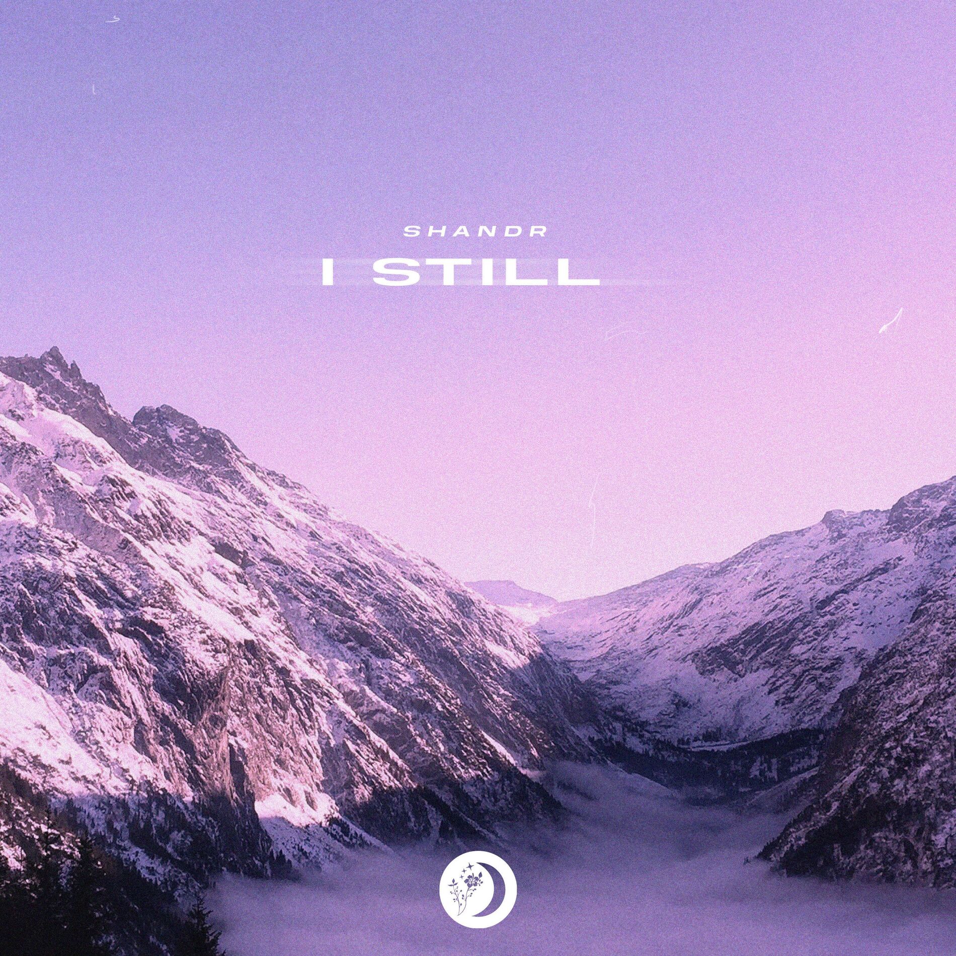 Album cover of I Still