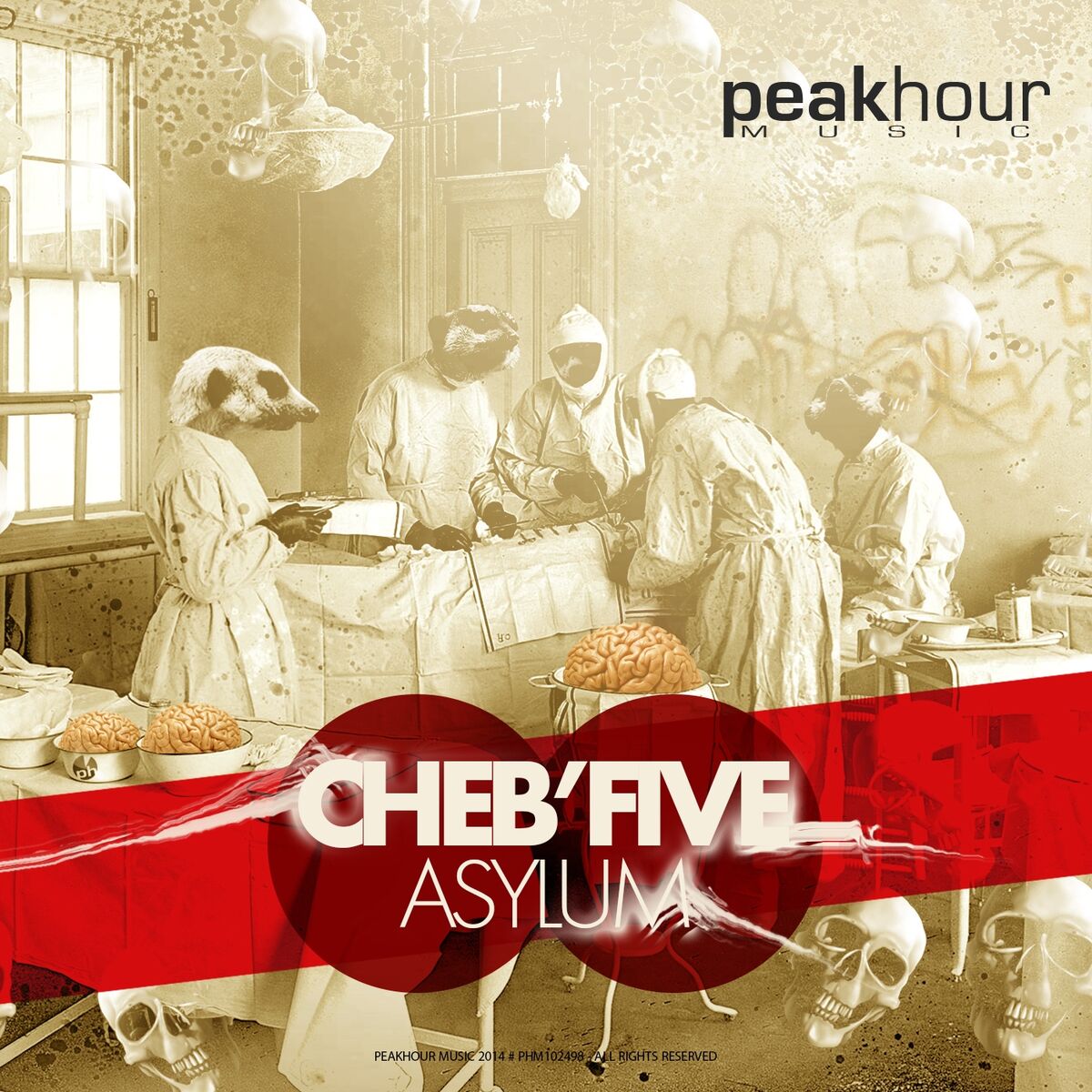Album cover of Asylum