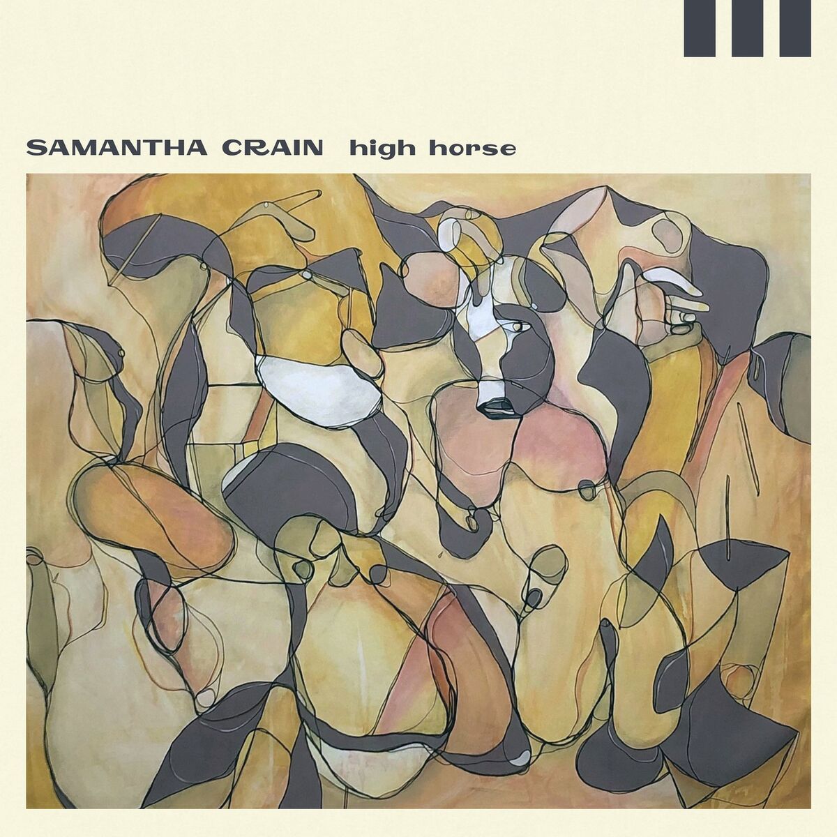 Album cover of High Horse