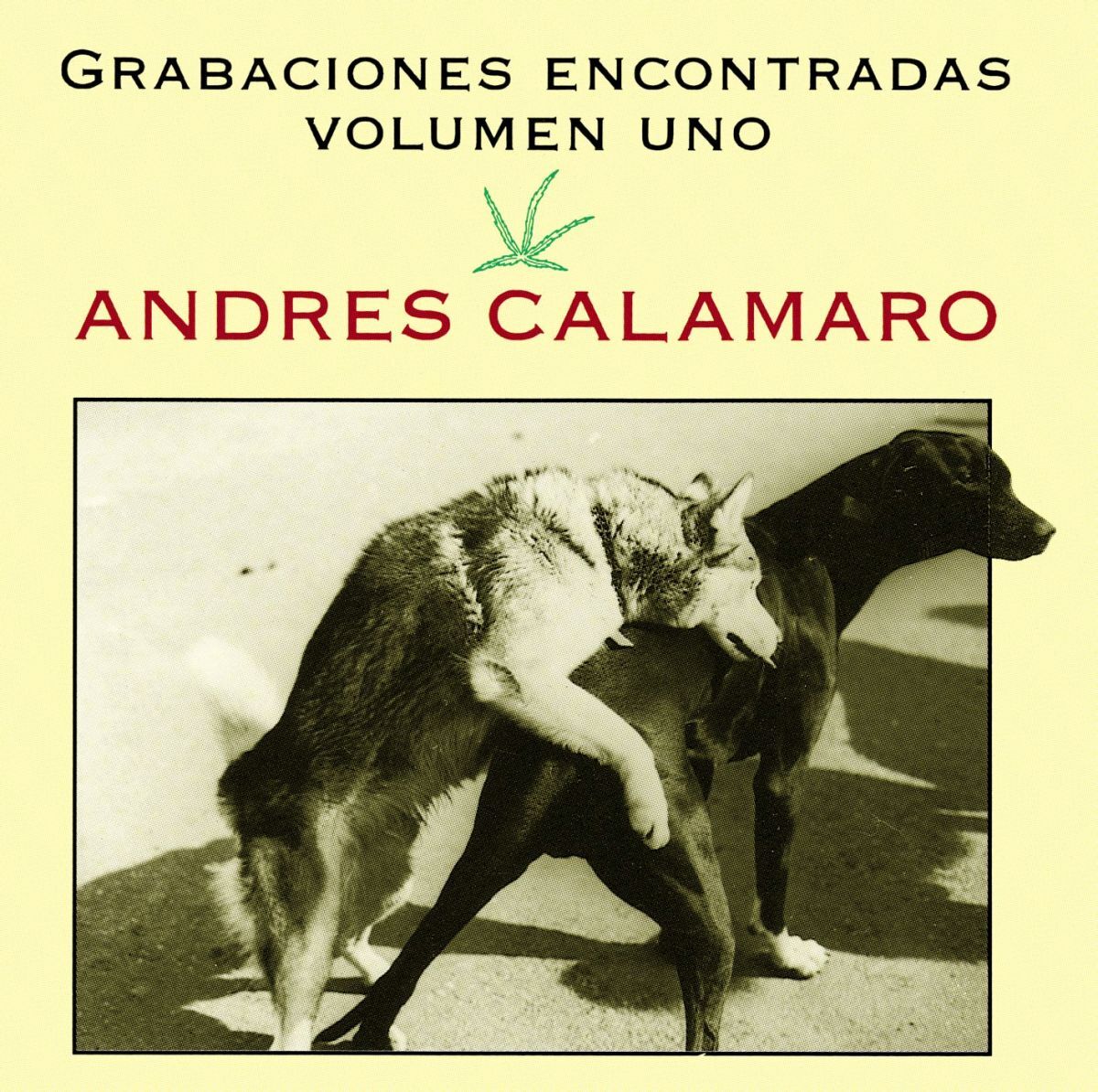 Album cover of Swing on Tango