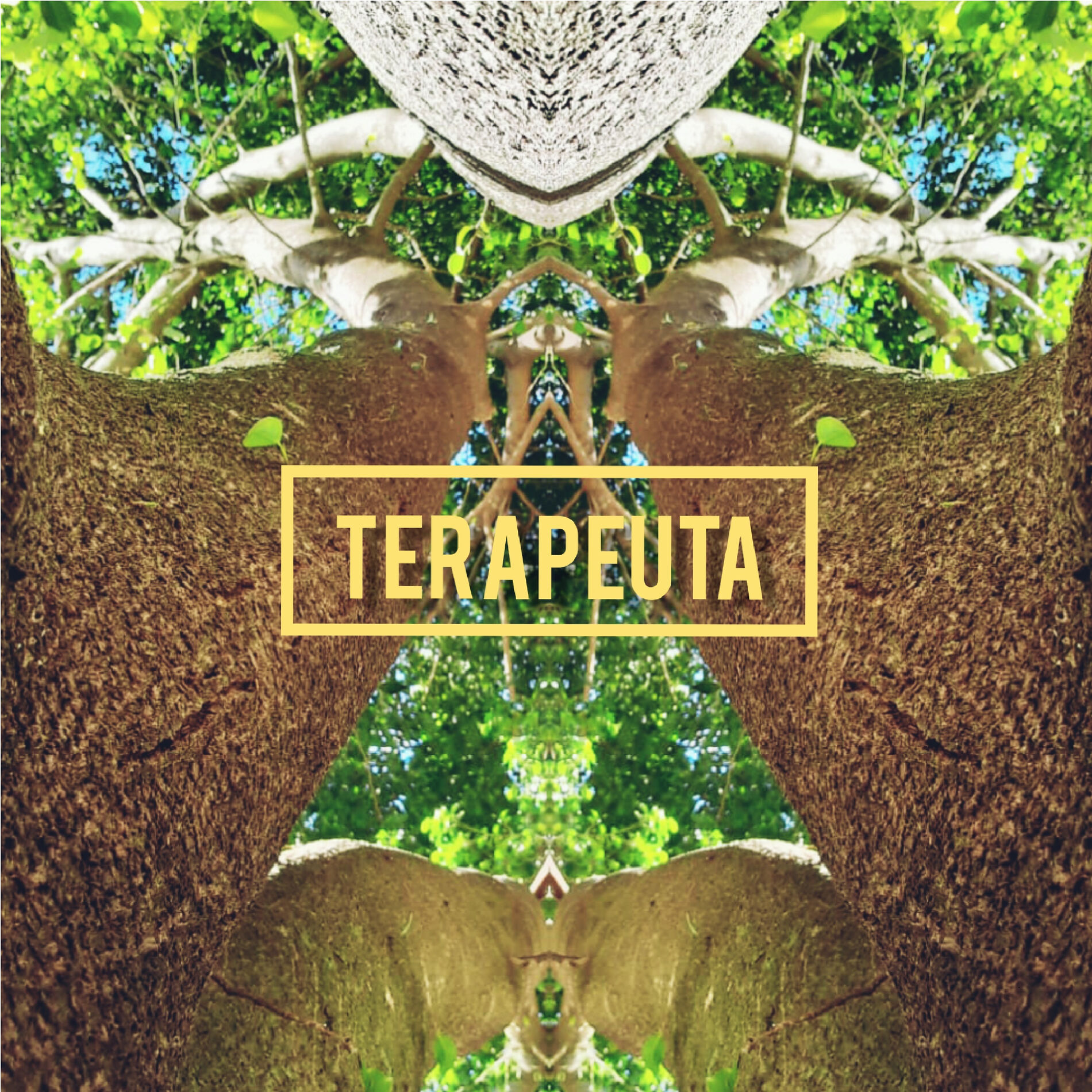 Album cover of Terapeuta