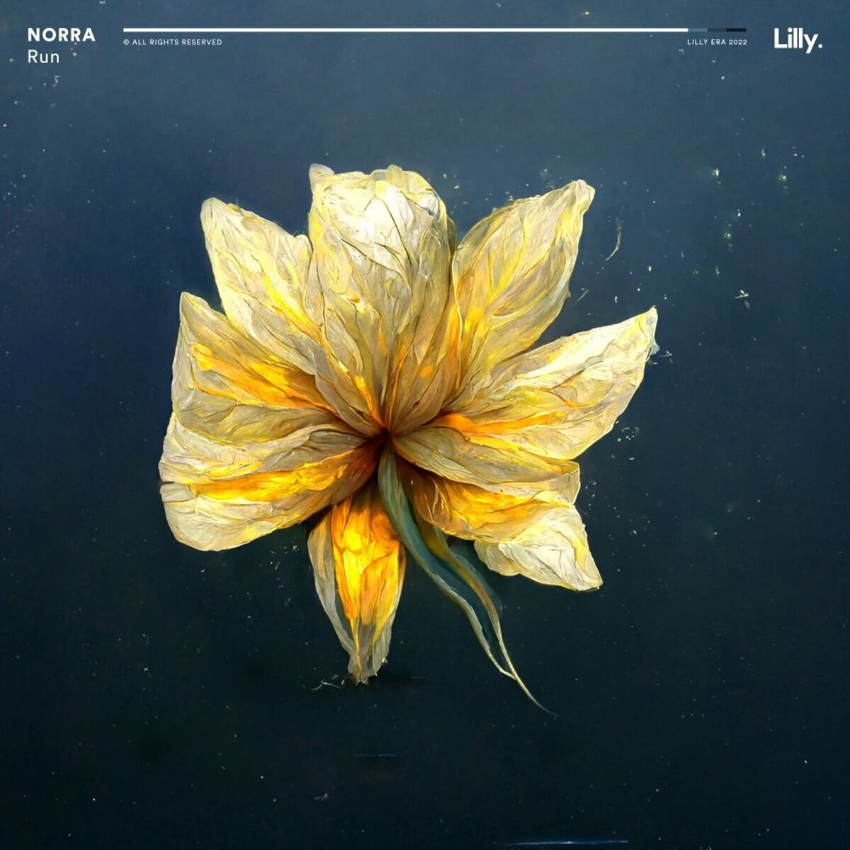 Album cover of Run