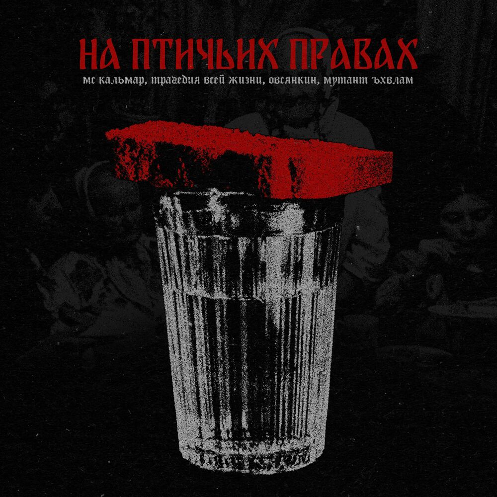 Picture of На птичьих правах