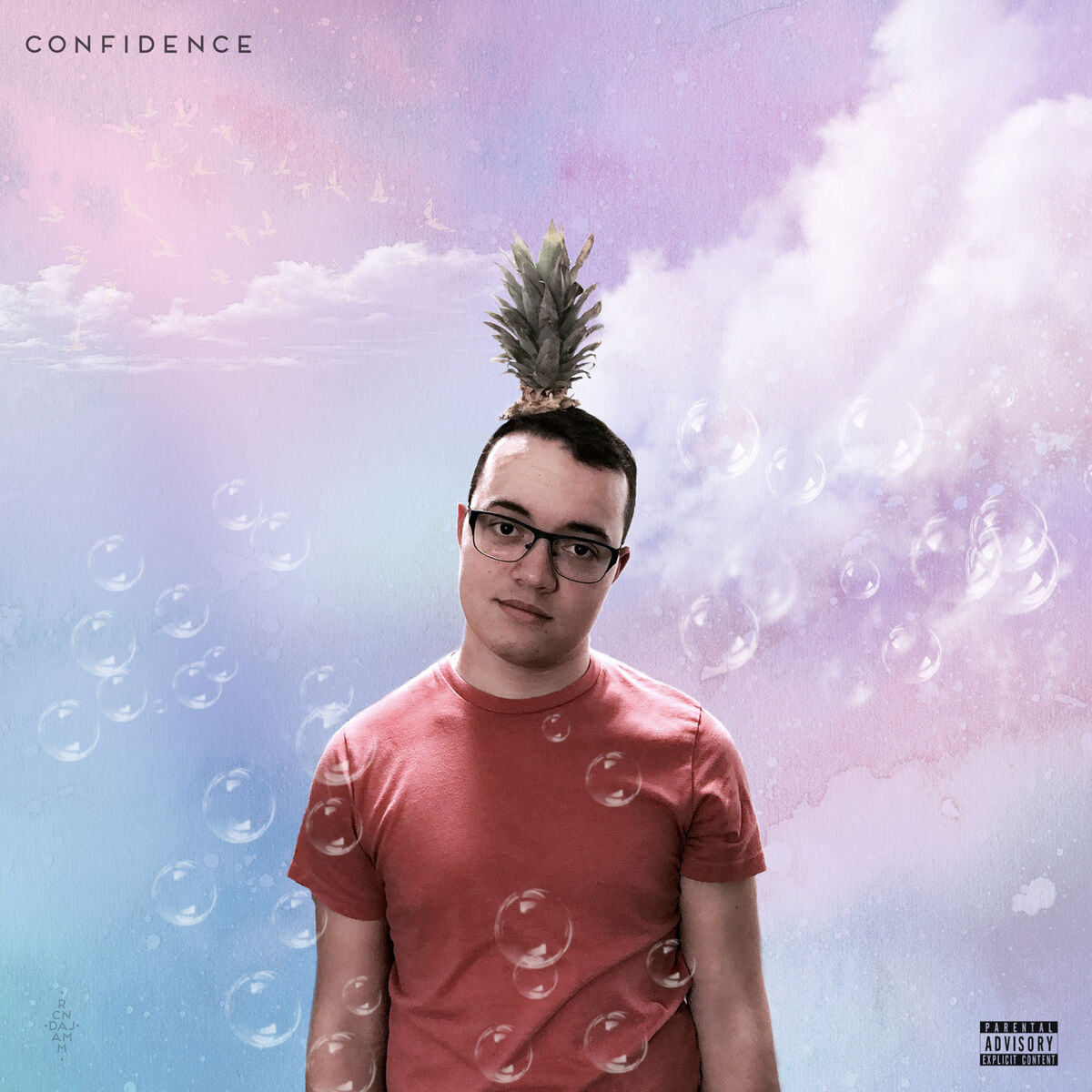 Album cover of Confidence