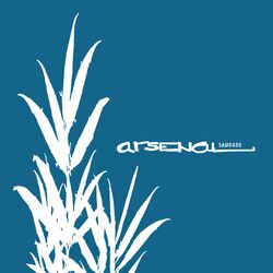 Cover of Saudade