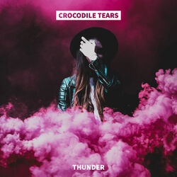 Cover of Crocodile Tears