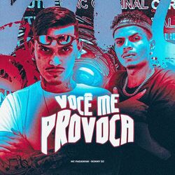 Cover of Você Me Provoca