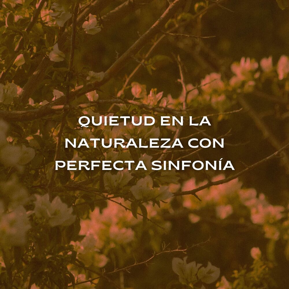 Picture of Quietud En La Naturaleza Con Perfecta Sinfonía