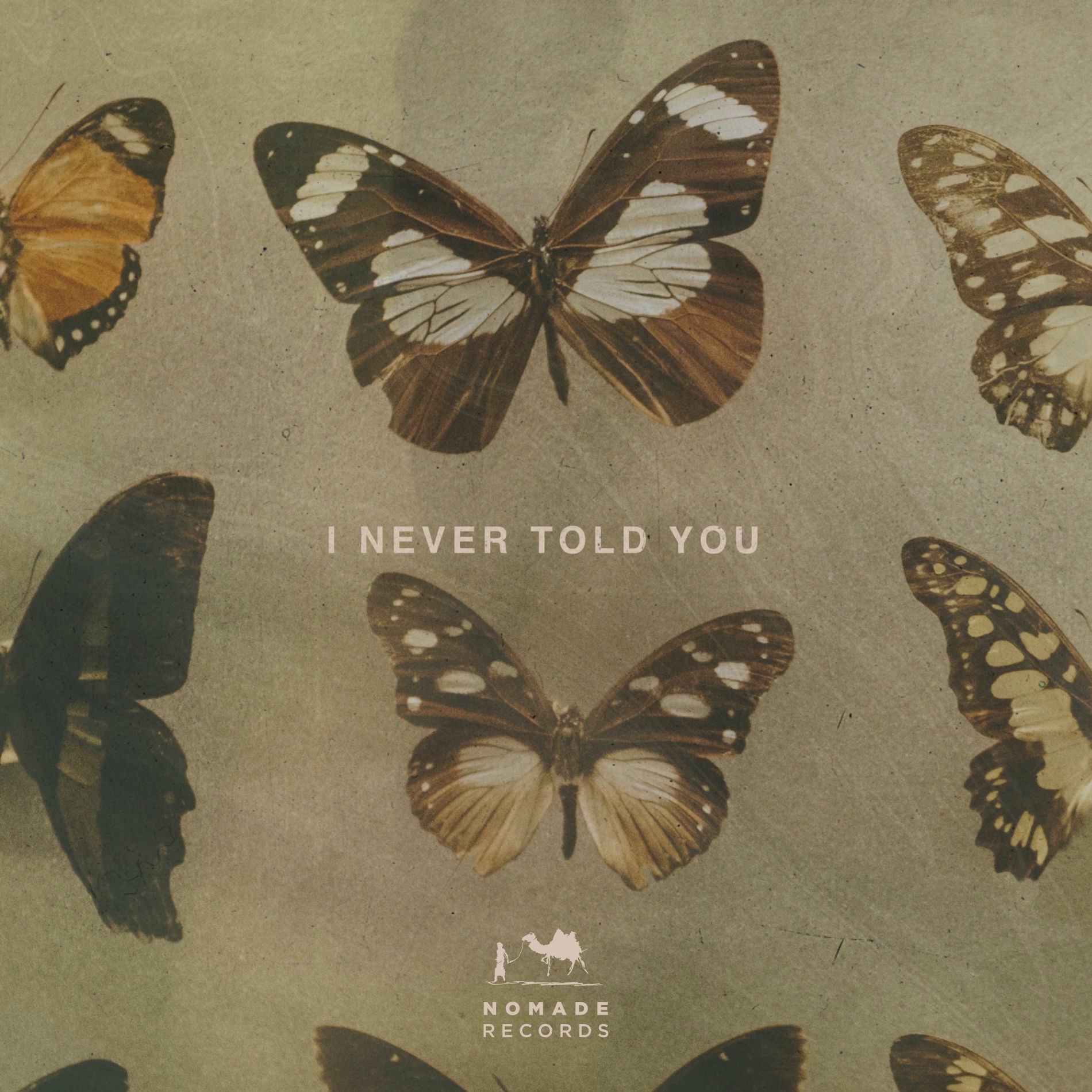 Album cover of I Never Told You