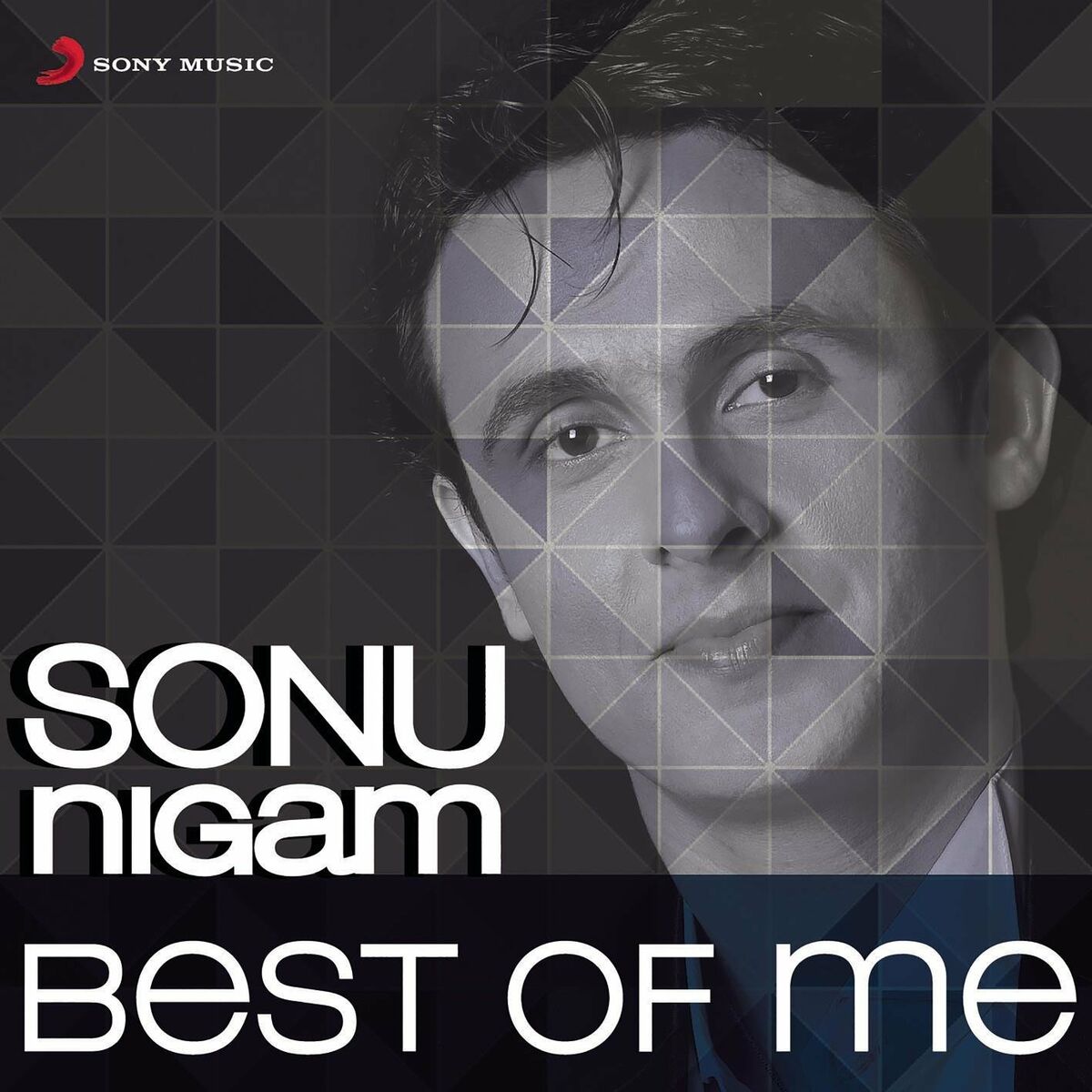 Album cover of Sonu Nigam: Best of Me