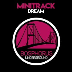 Cover of Dream
