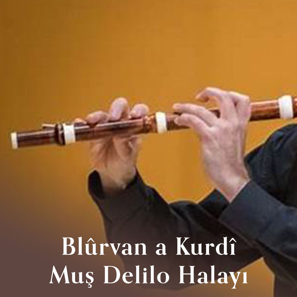 Muş Delilo Halayı