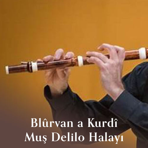 Muş Delilo Halayı
