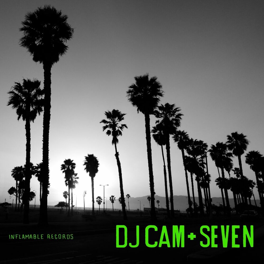 Picture of Seven