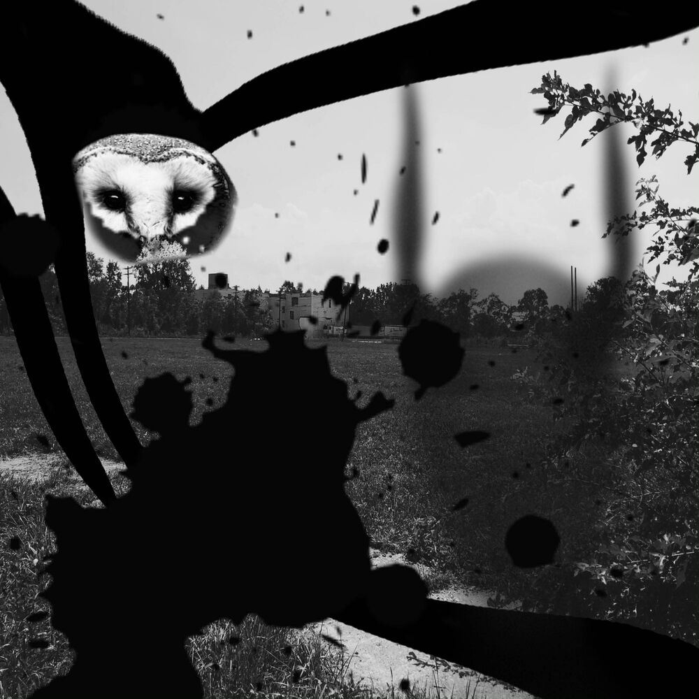 Picture of Look What They Left Of You