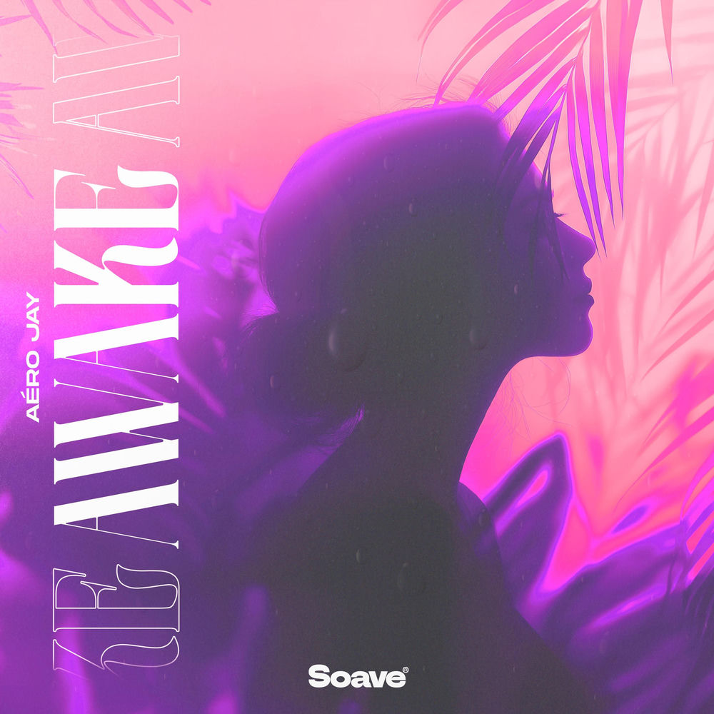 Albumhoes van Awake — Aéro Jay