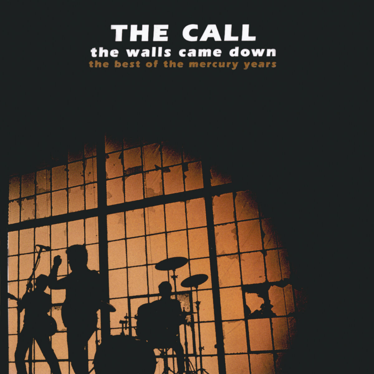 Album cover of The Walls Came Down: The Best Of The Mercury Years