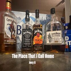 Cover of The Place That I Call Home