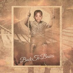 Cover of Back To Basics