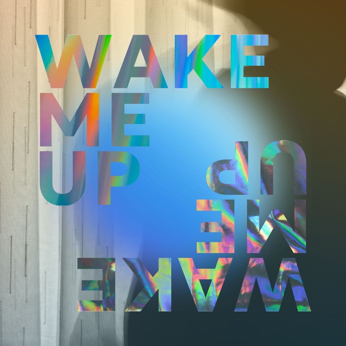Album cover of Wake Me Up