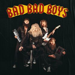 Cover of BAD BAD BOYS