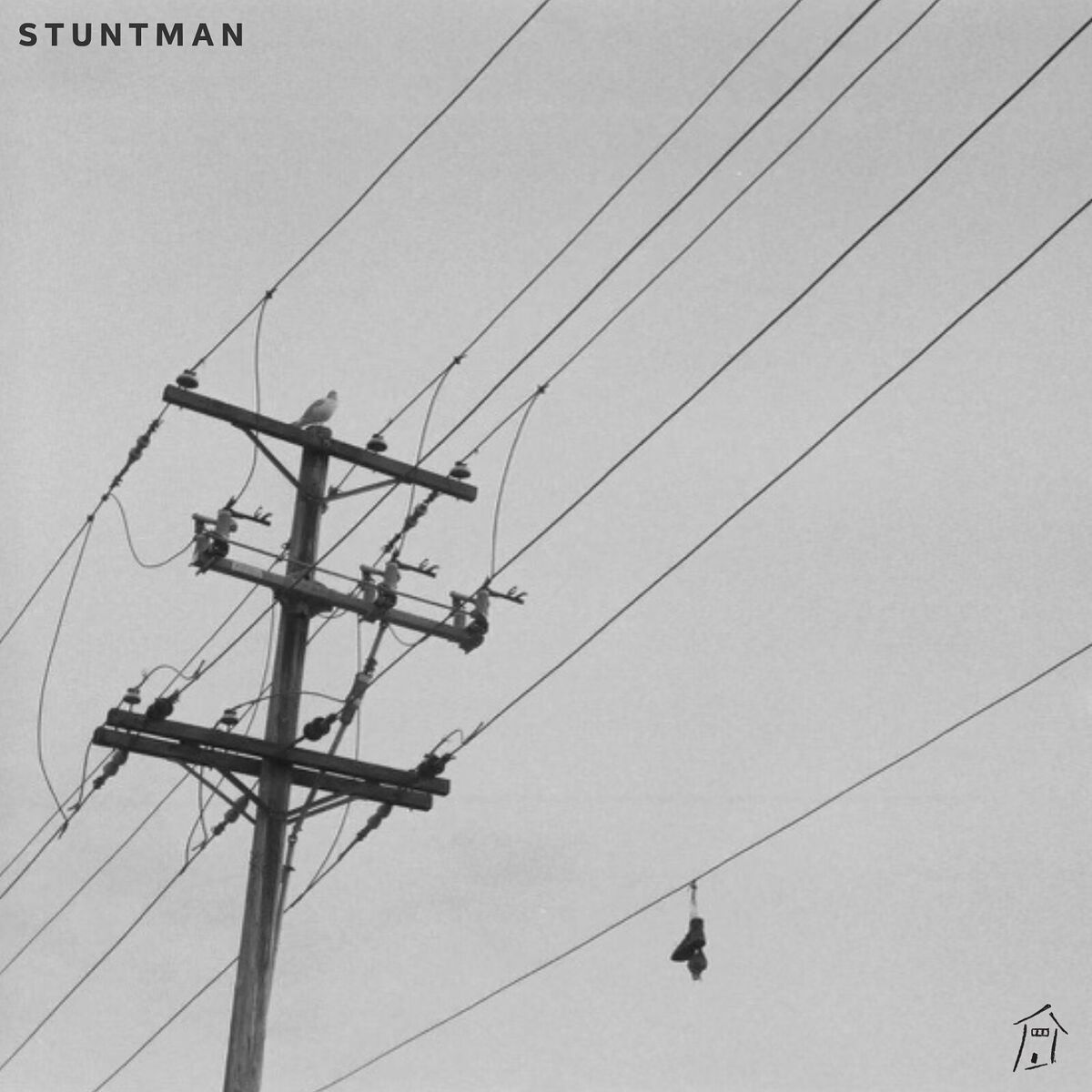 Album cover of Stuntman