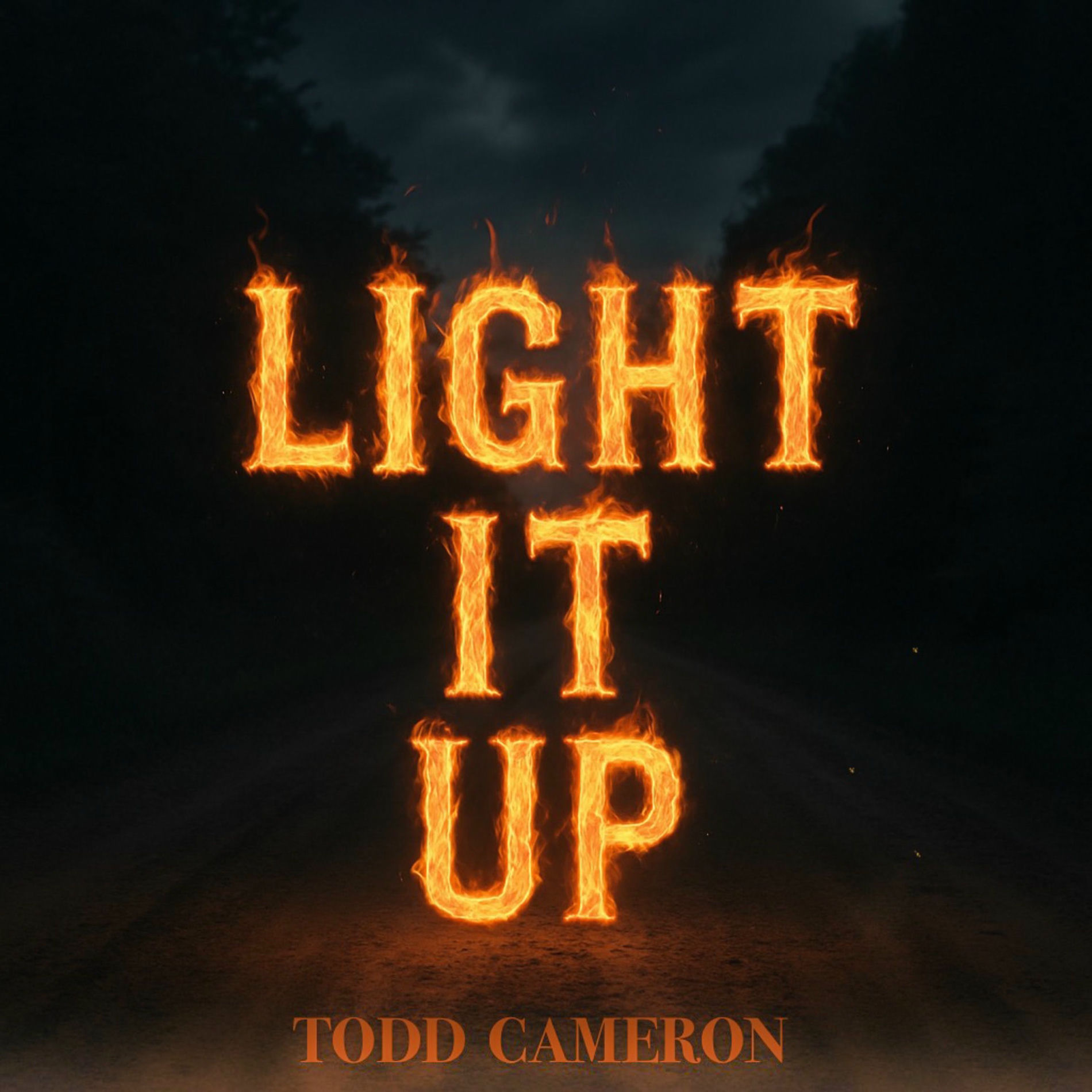 Album cover of Light It Up
