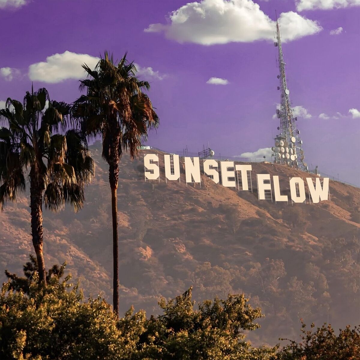 Album cover of sunset flow.mp3