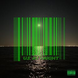 Cover of Us at Night