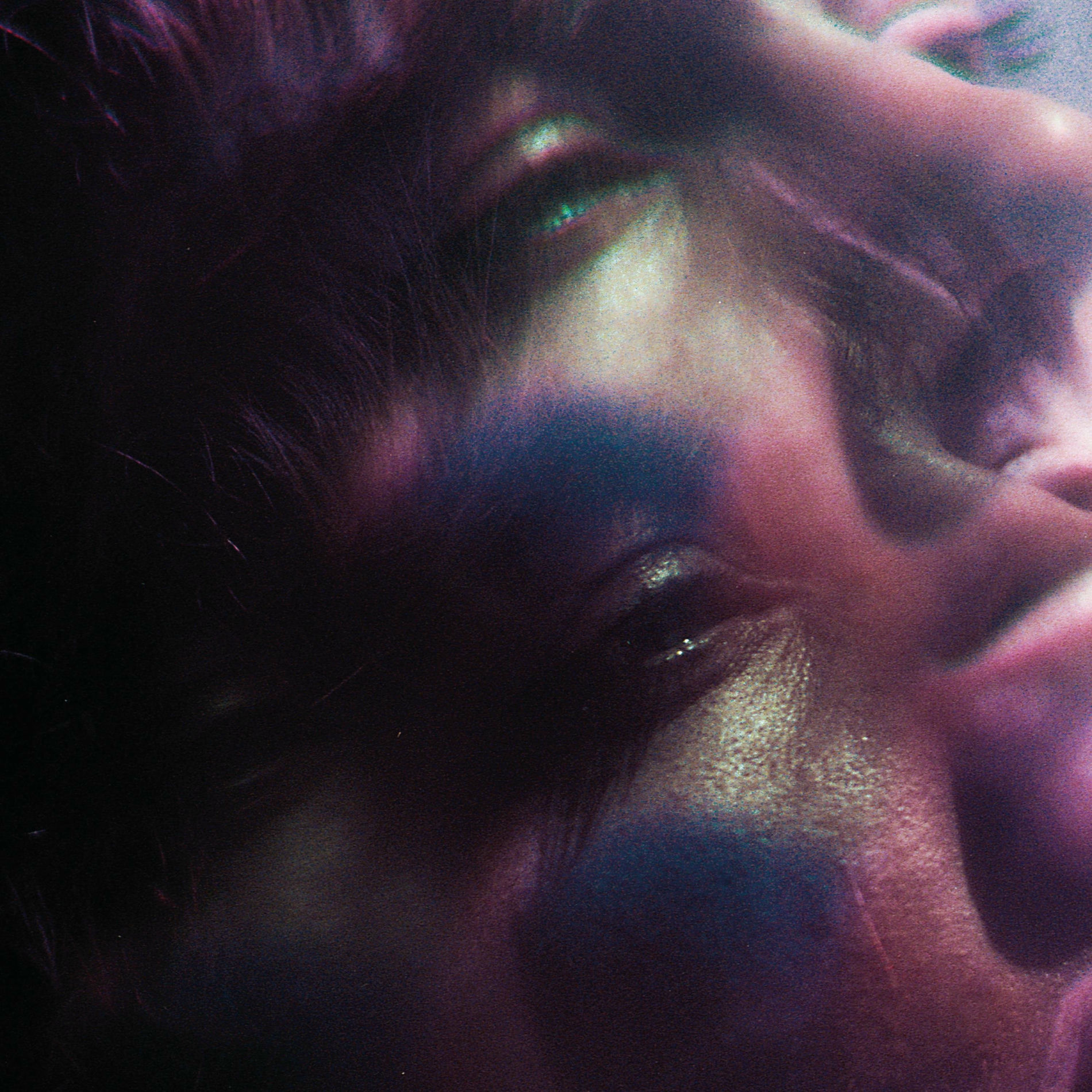 Album cover of Salt Water