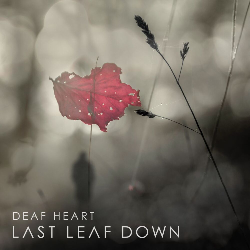 Picture of Deaf Heart
