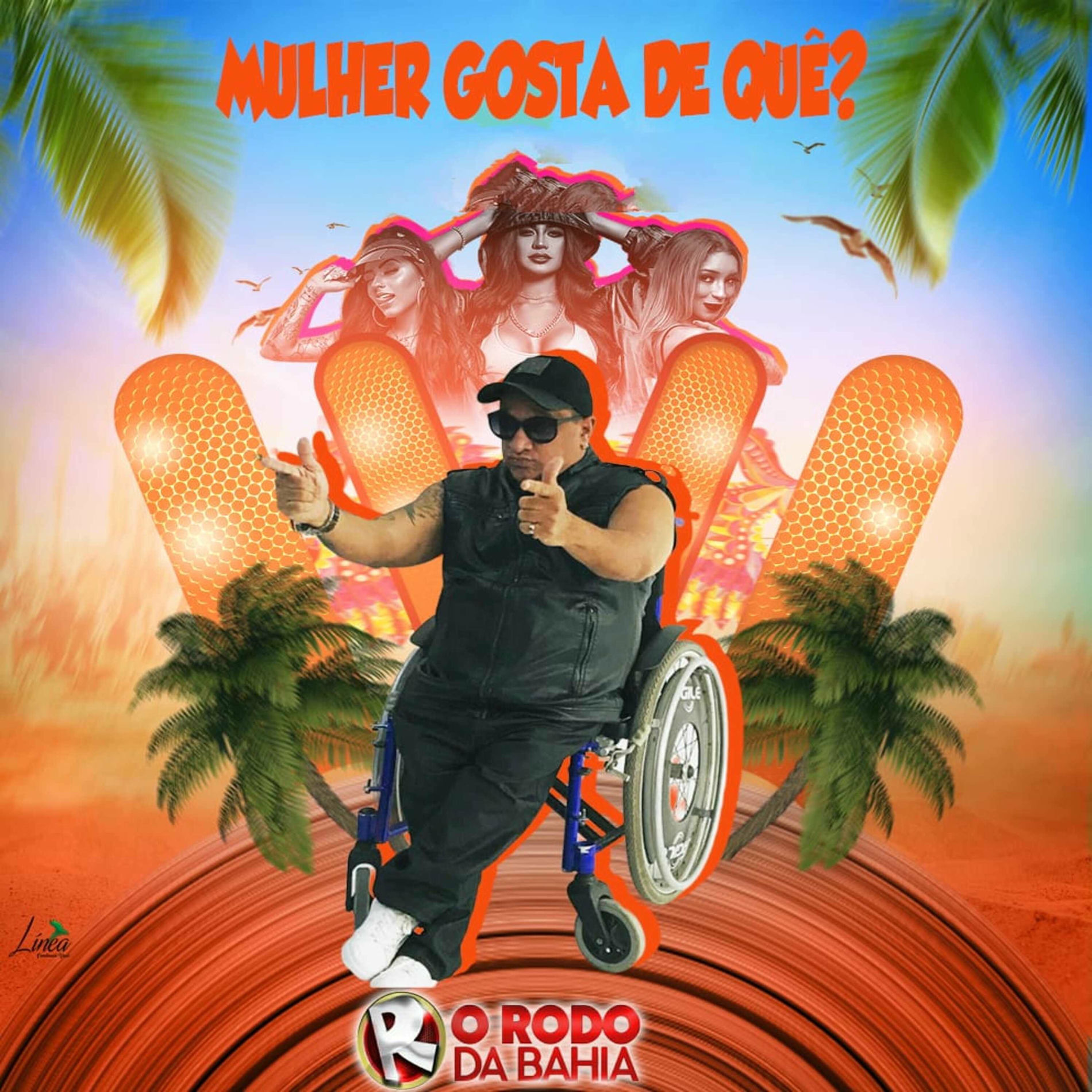 Album cover of Mulher Gosta de Quê?
