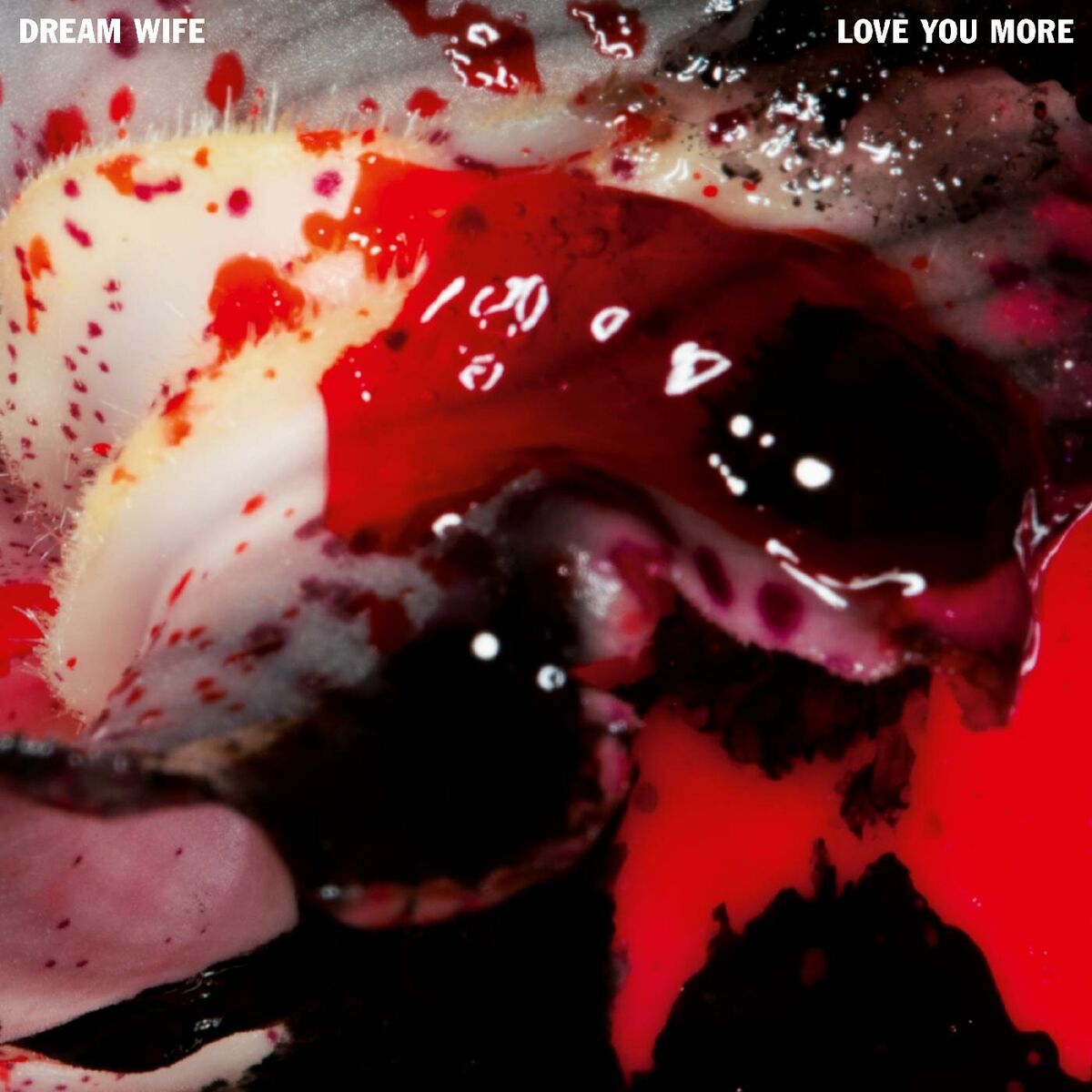 Album cover of Love You More