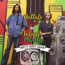 Cover of Natty Rides Again