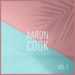 Cover of Aaron Cook, Vol. 1