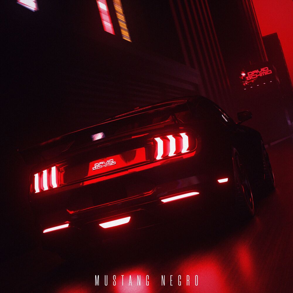 Picture of Mustang Negro