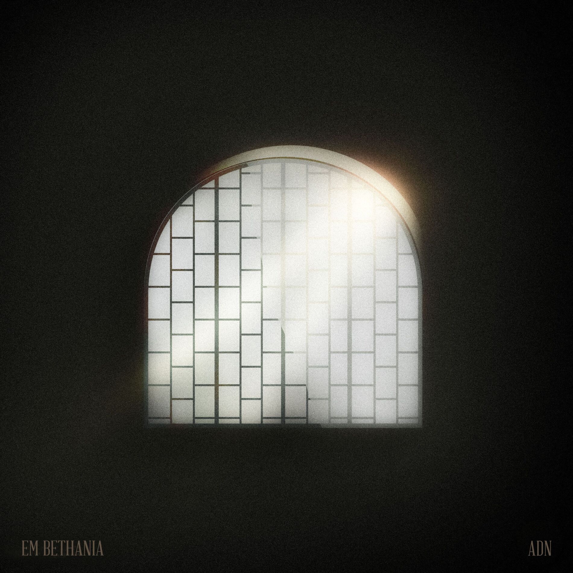 Album cover of EM BETHANIA