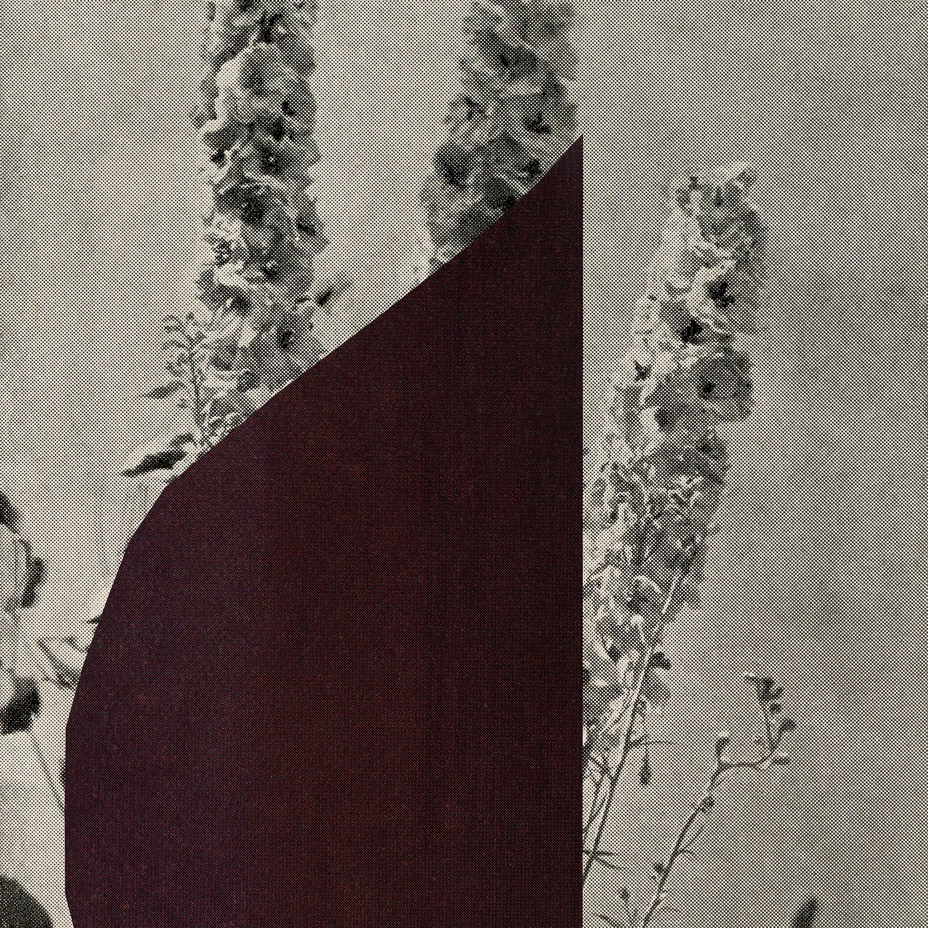 Album cover of Fragrances
