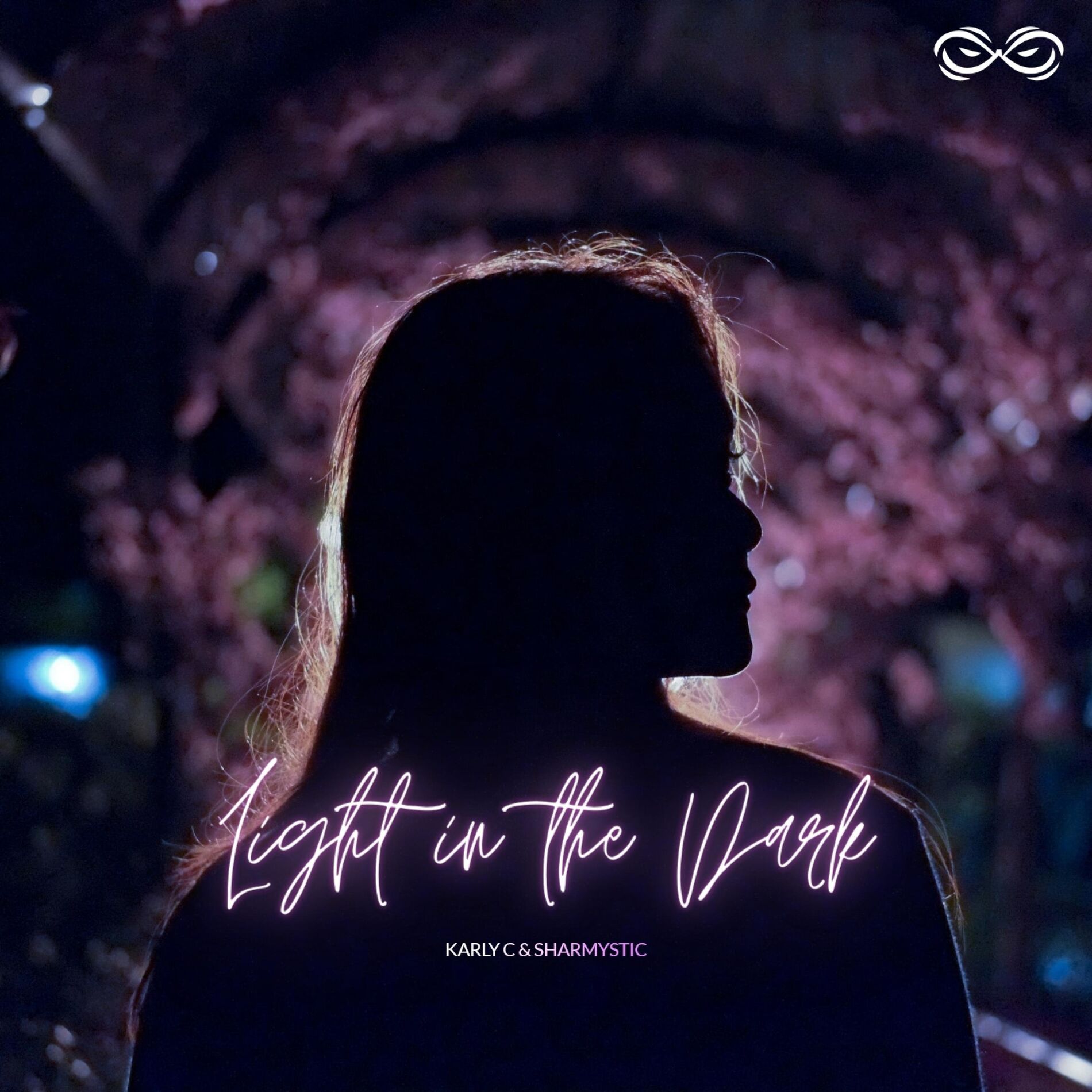 Album cover of Light In The Dark