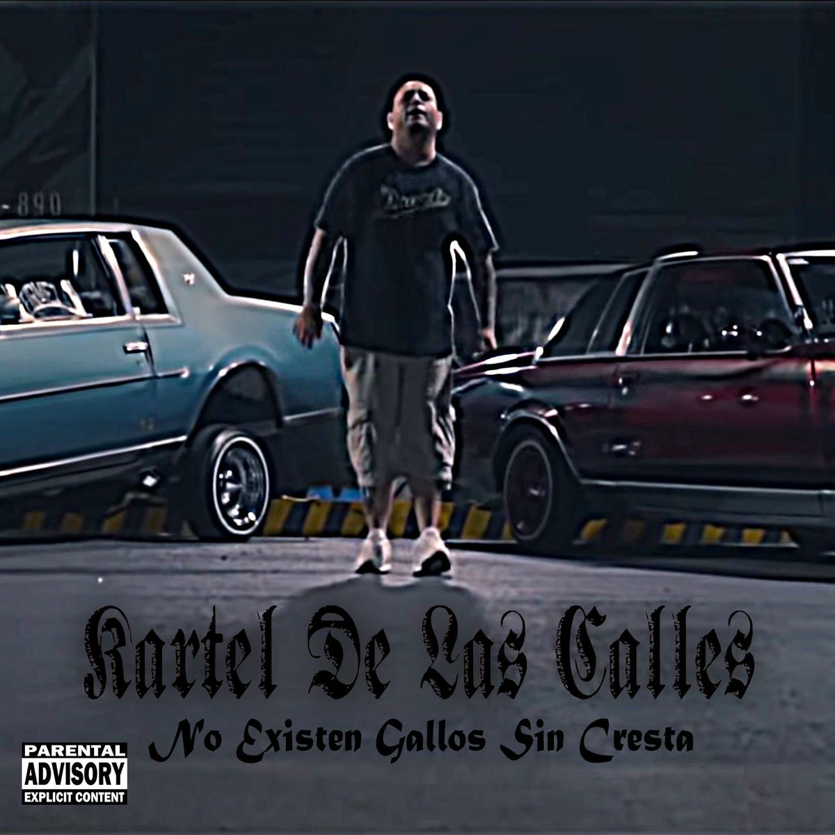 Album cover of No Existen Gallos Sin Cresta