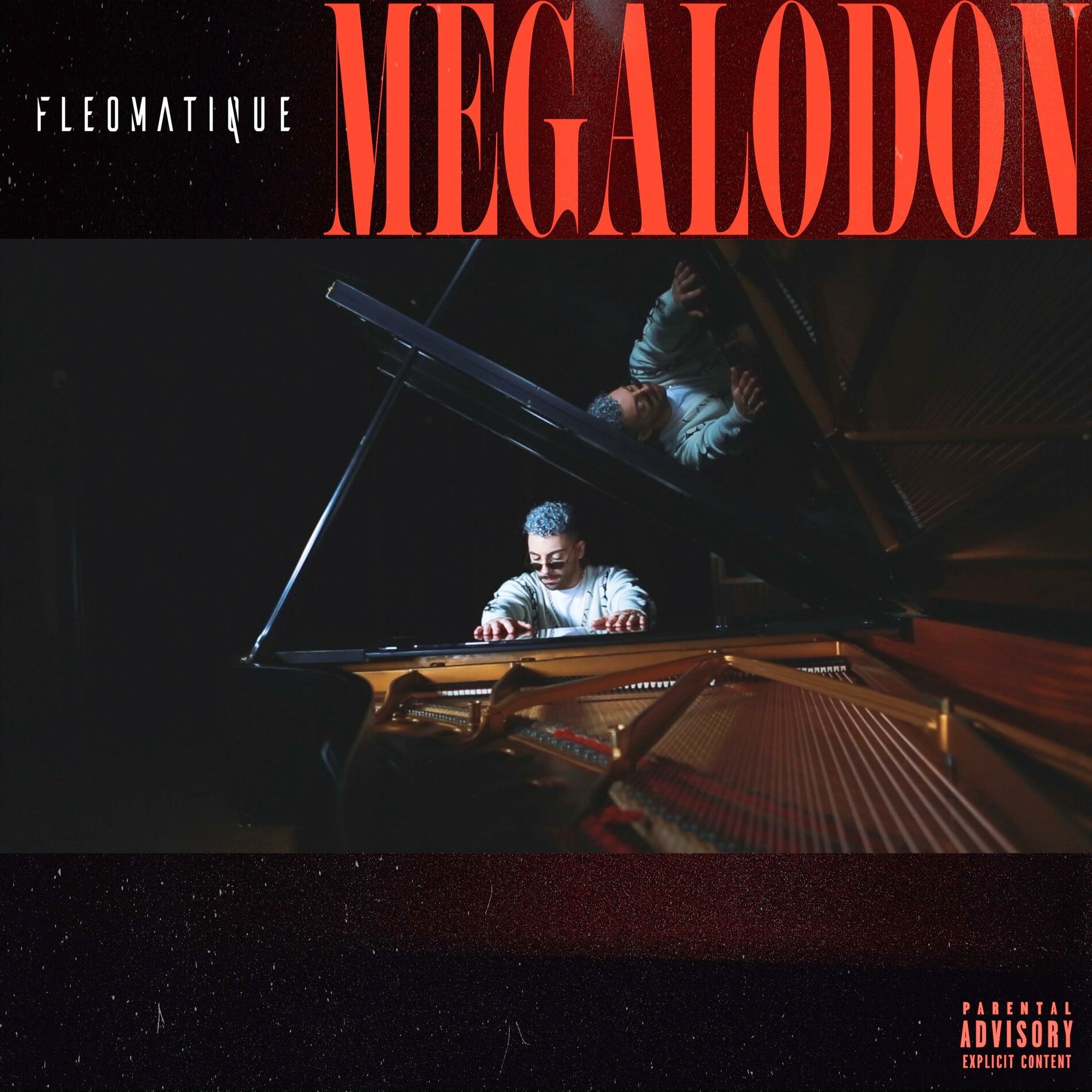 Album cover of Megalodon