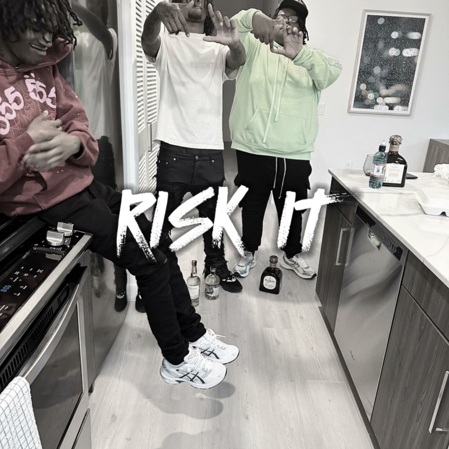 Album cover of RISK IT