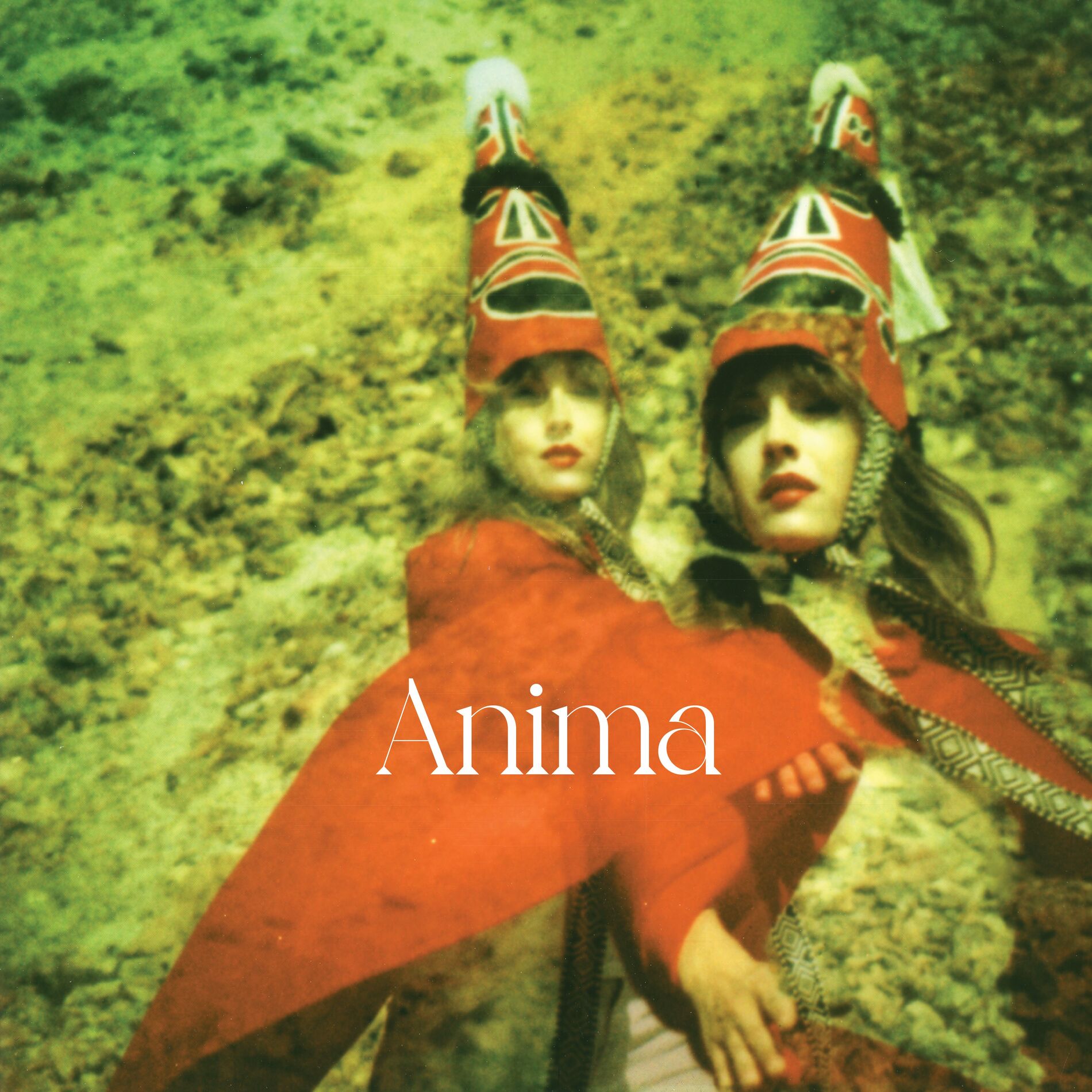 Album cover of Anima